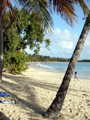 voyages-pour-célibataires-partirseul-com-plongée-en-martinique