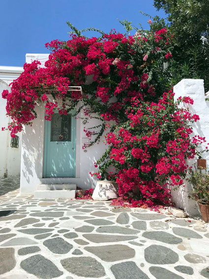 Grece-Paros-maison-fleur